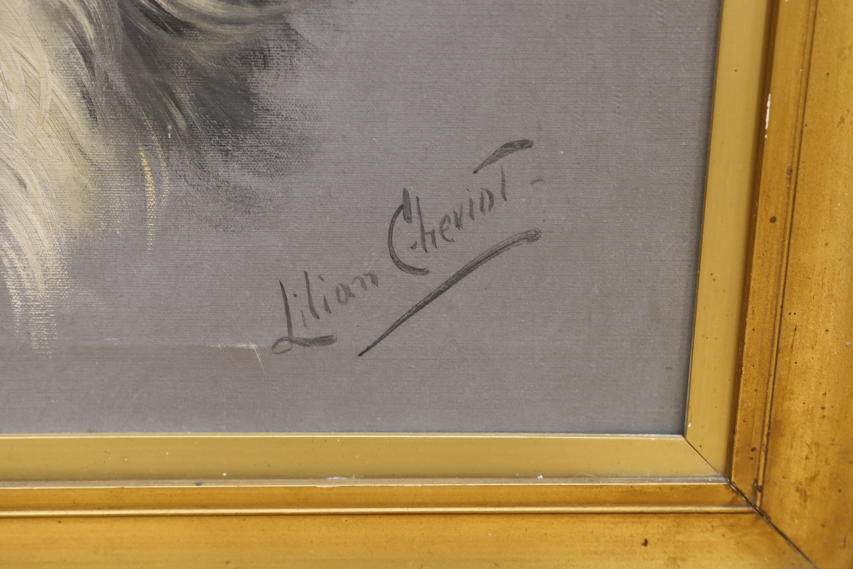 Lilian Cheviot (fl.1894-1924), oil on canvas, study of a collie dog, signed, 57 x 47cm